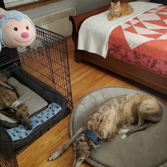 Meet your Posher, Dana - Picture 8 of 10